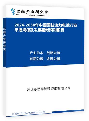 2024-2030年中国圆柱动力电池行业市场规模及发展前景预测报告