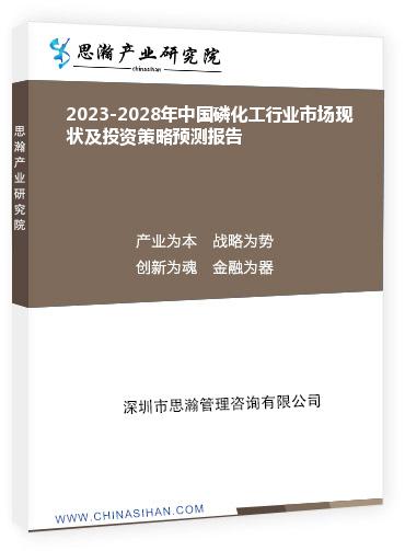 2023-2028年中国磷化工行业市场现状及投资策略预测报告